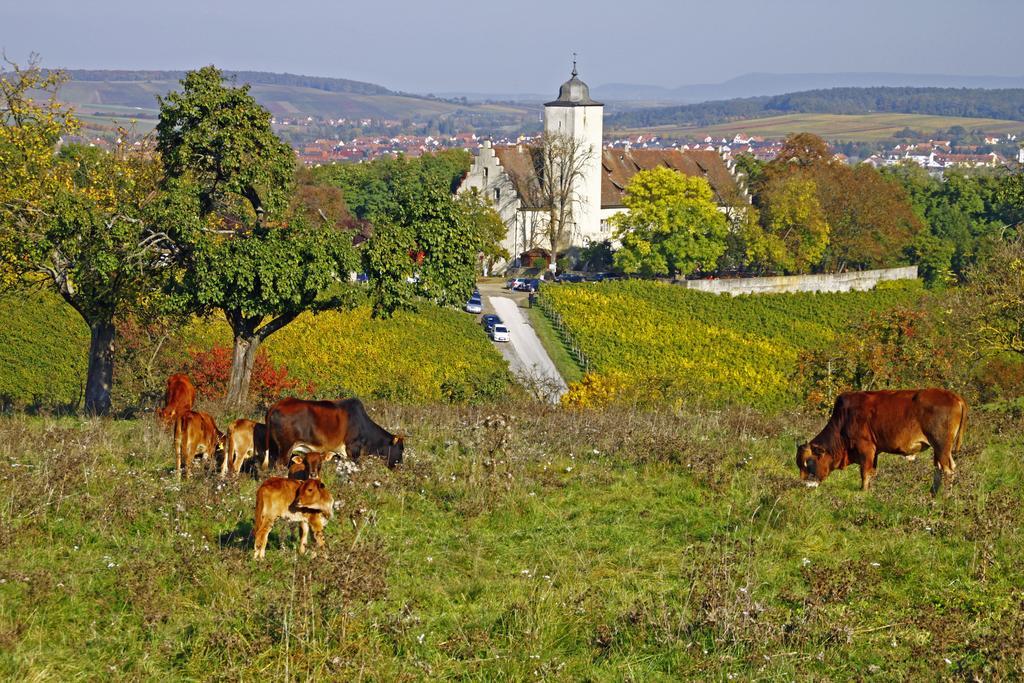 Flair-Hotel Zum Benediktiner Schwarzach am Main Luaran gambar